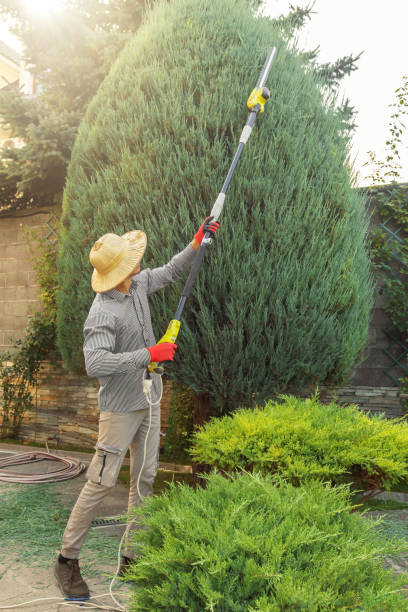 Lawn Irrigation Installation and Maintenance in Maggie Valley, NC